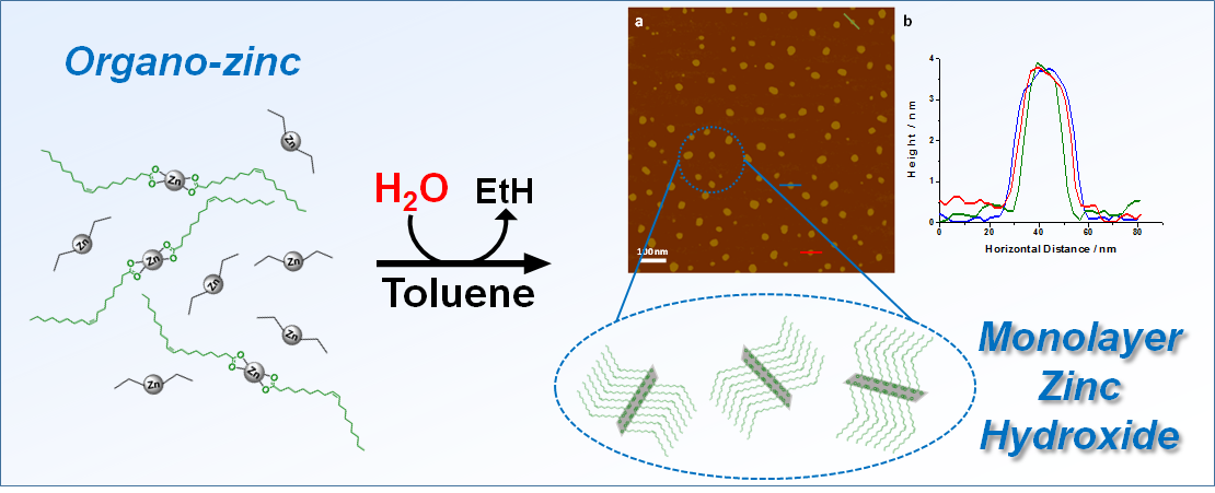 lzh graphical abstract