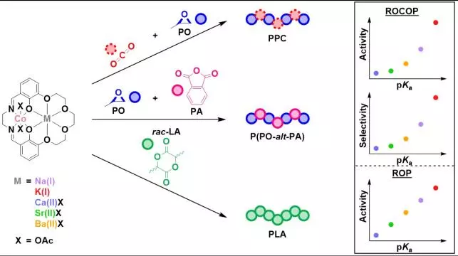 Structure-Performance Relationships