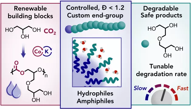 Fully degradable hydrophilic and amphiphilic polycarbonates. 