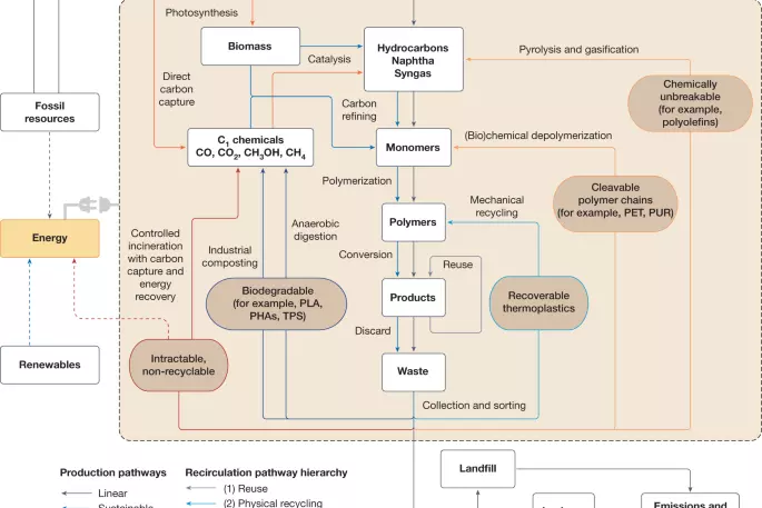 Graphical Abstract
