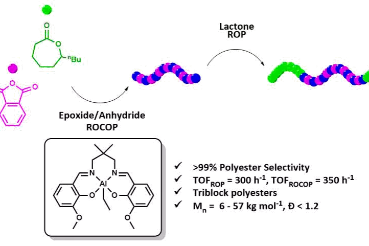 Graphical Abstract