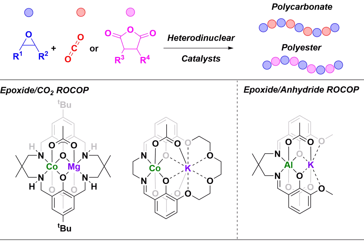 Graphical Abstract