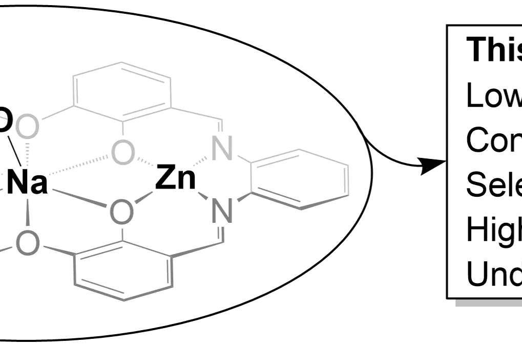 Graphical Abstract