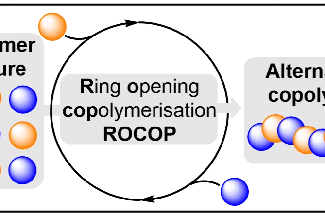 Graphical Abstract