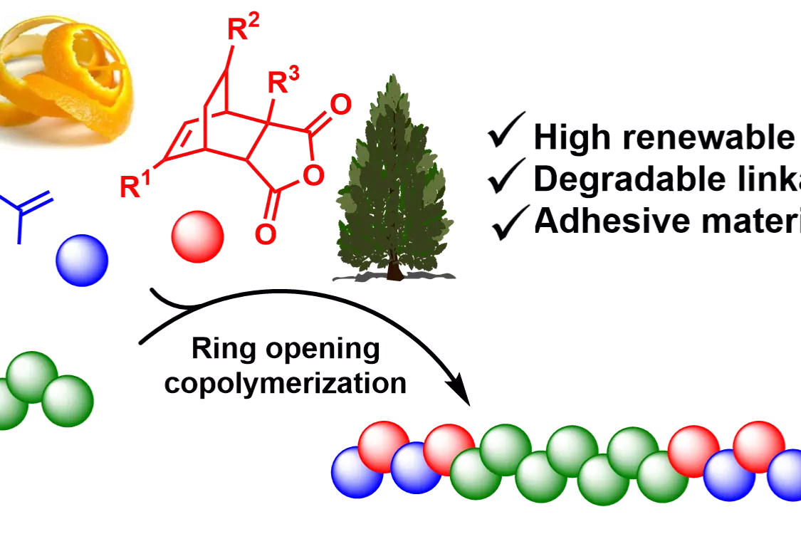 Graphical Abstract