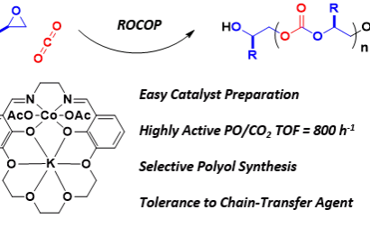 Graphical Abstract