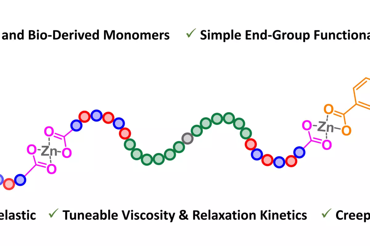 Graphical Abstract