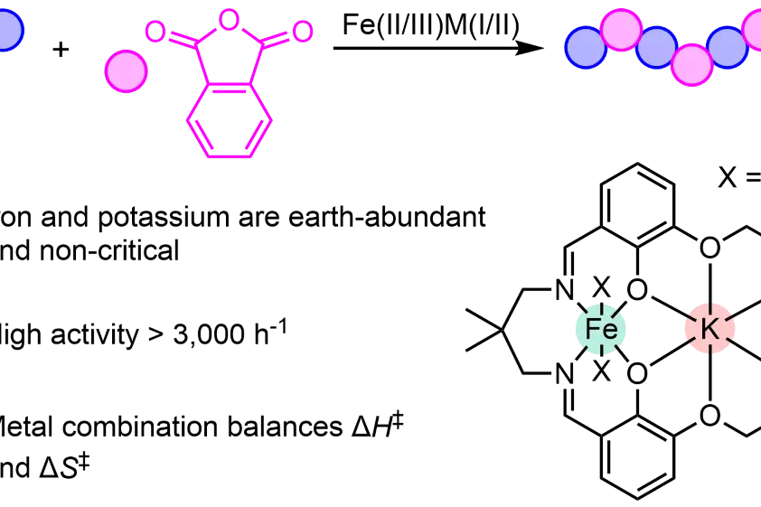 Graphical Abstract