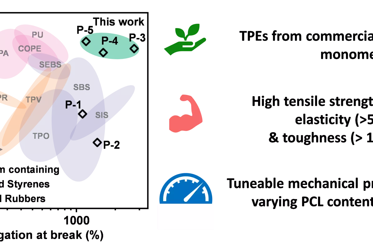 Graphical Abstract