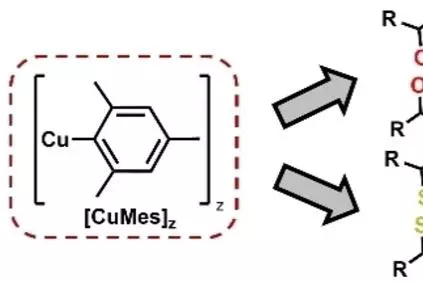 Graphical Abstract
