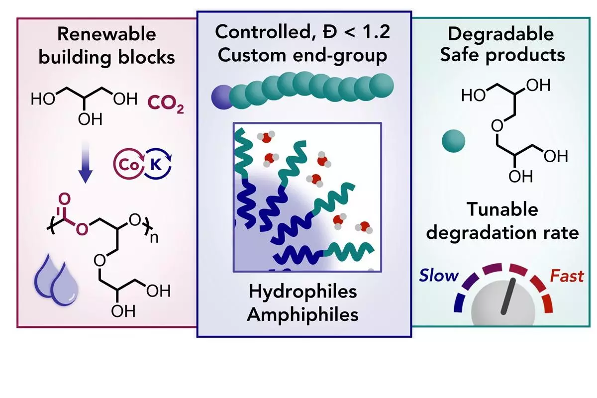 Degradable Amphiphilic Polycarbonates