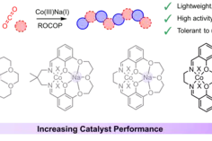 Graphical Abstract
