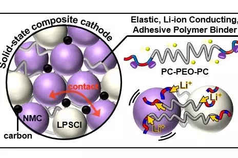 Graphical Abstract