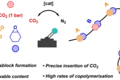 Graphical Abstract