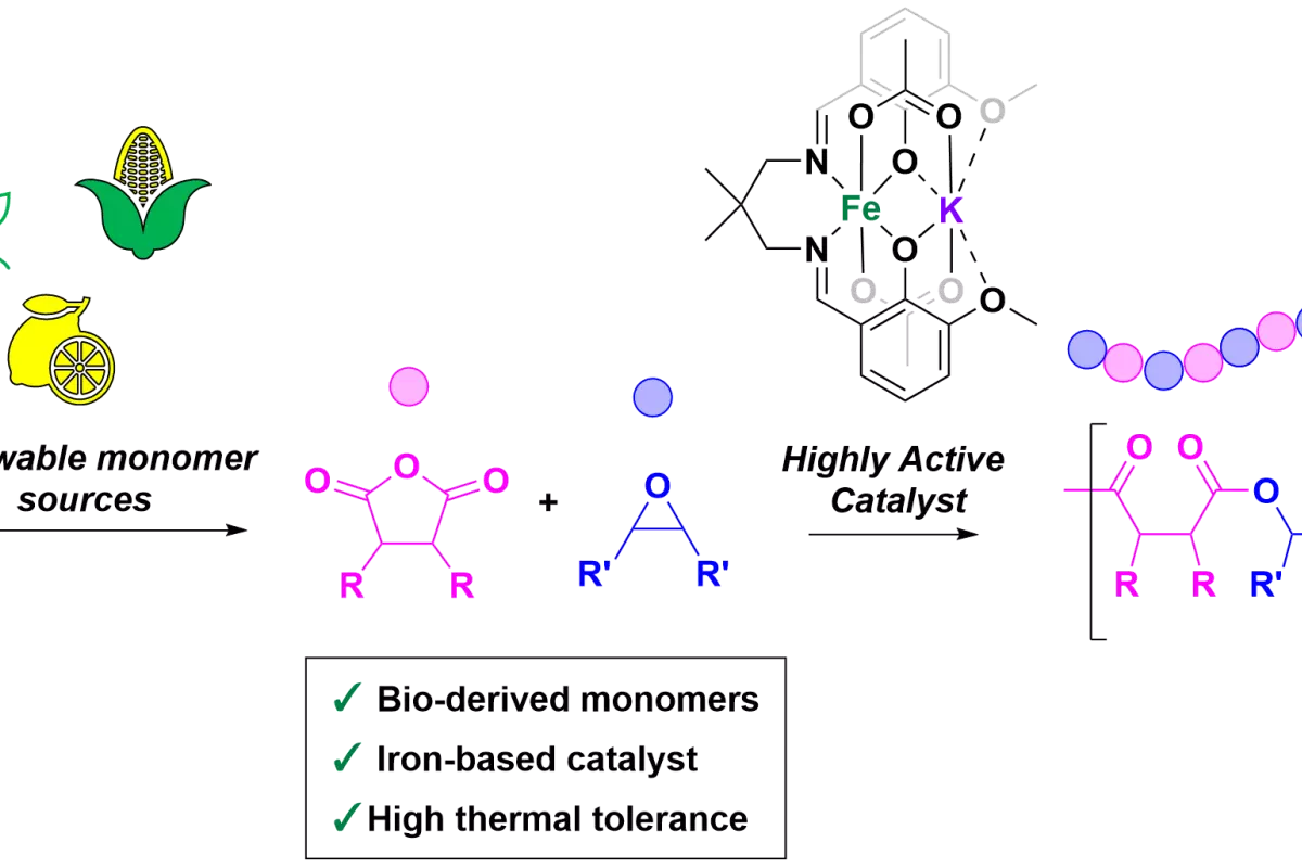 Graphical Abstract