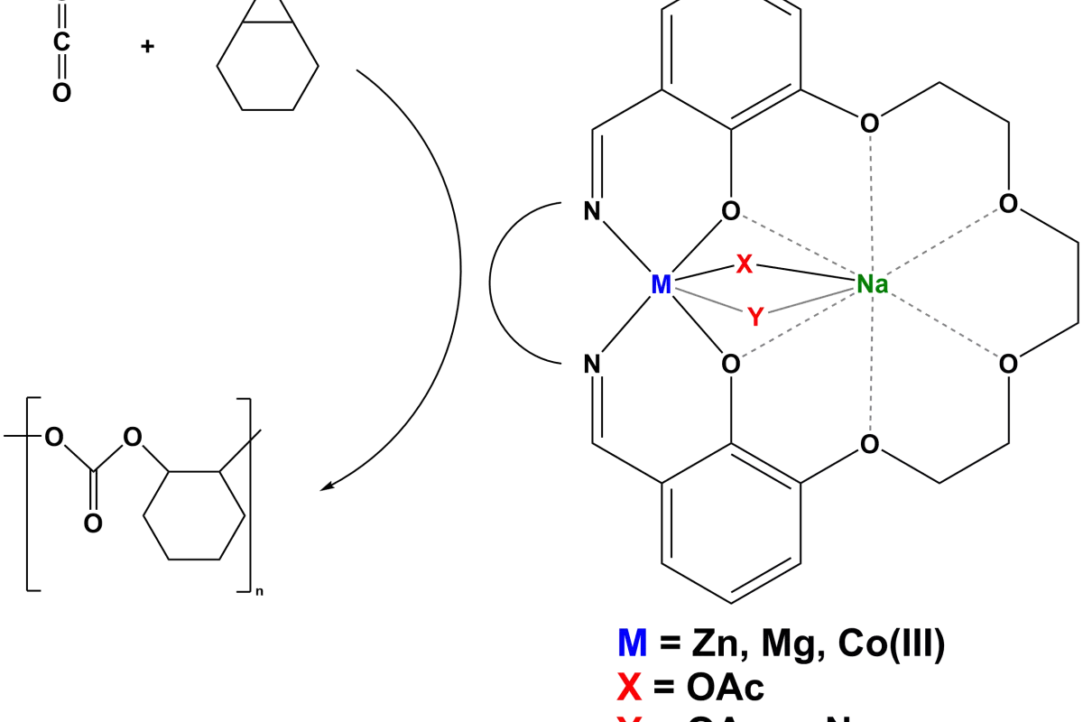 Graphical Abstract
