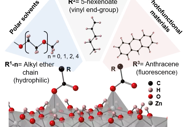 Graphical Abstract