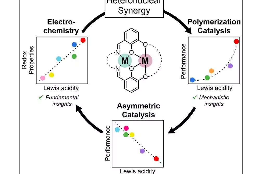 Graphical Abstract