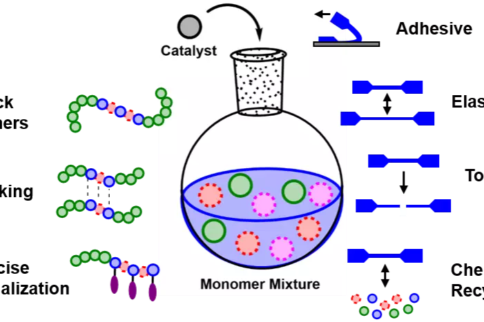 Graphical Abstract