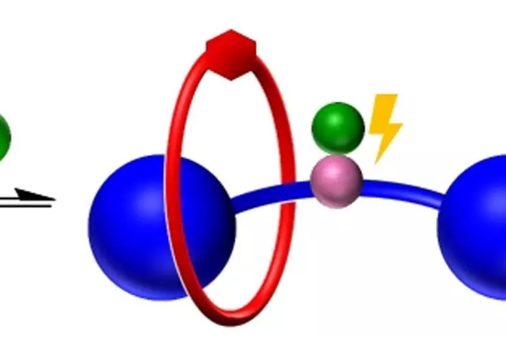Graphical Abstract