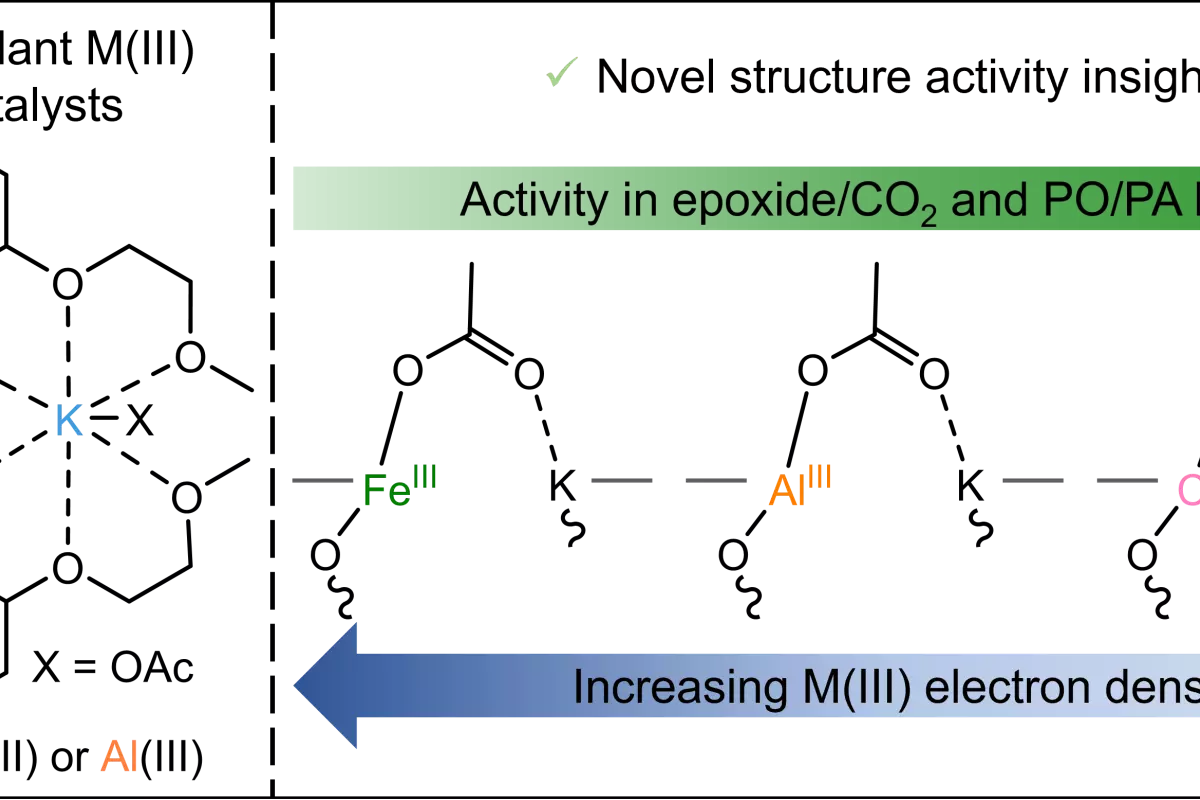 Graphical Abstract