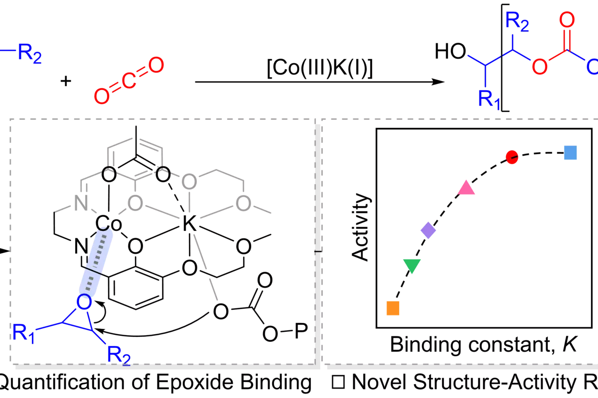 Graphical Abstract