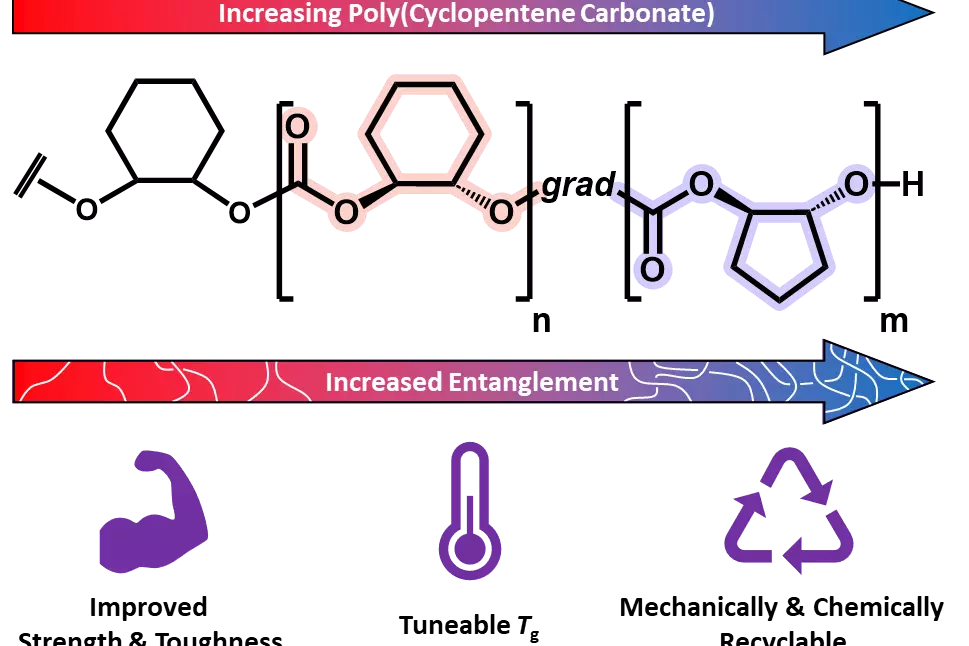 Graphical Abstract