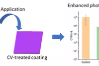 Graphical Abstract