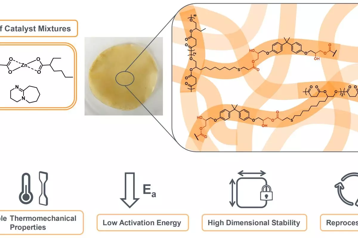 Graphical Abstract