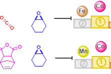 Graphical Abstract