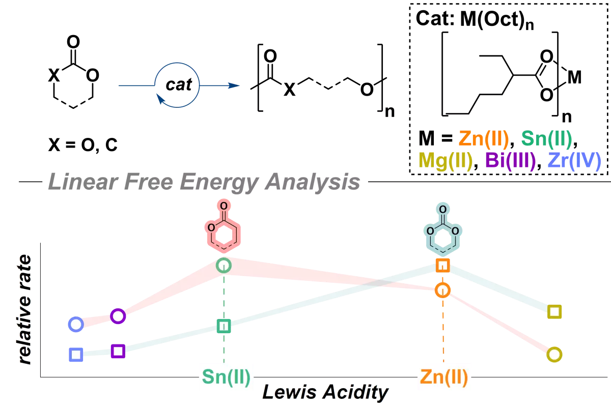 Graphical Abstract