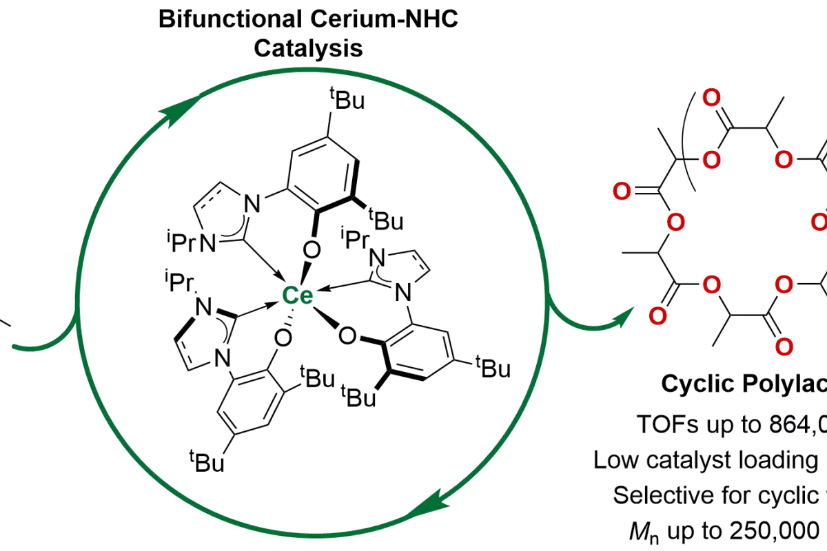 Graphical Abstract