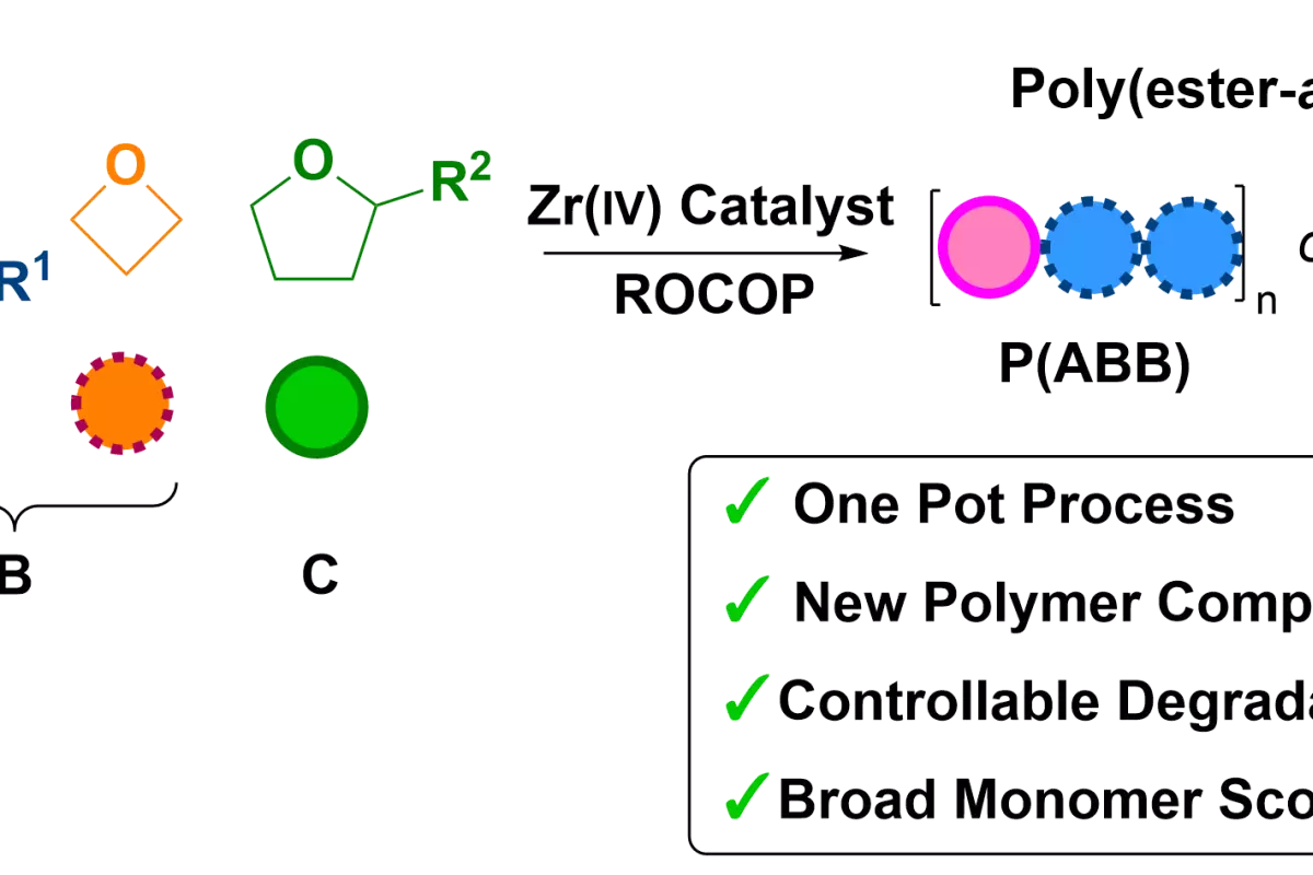 Graphical Abstract