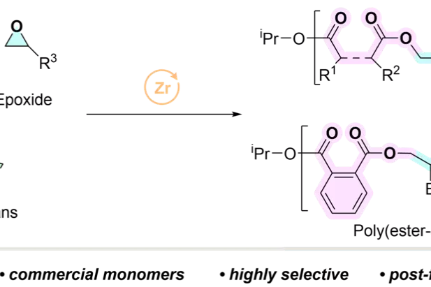 Graphical Abstract
