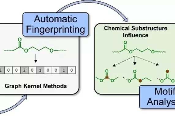 Graphical Abstract