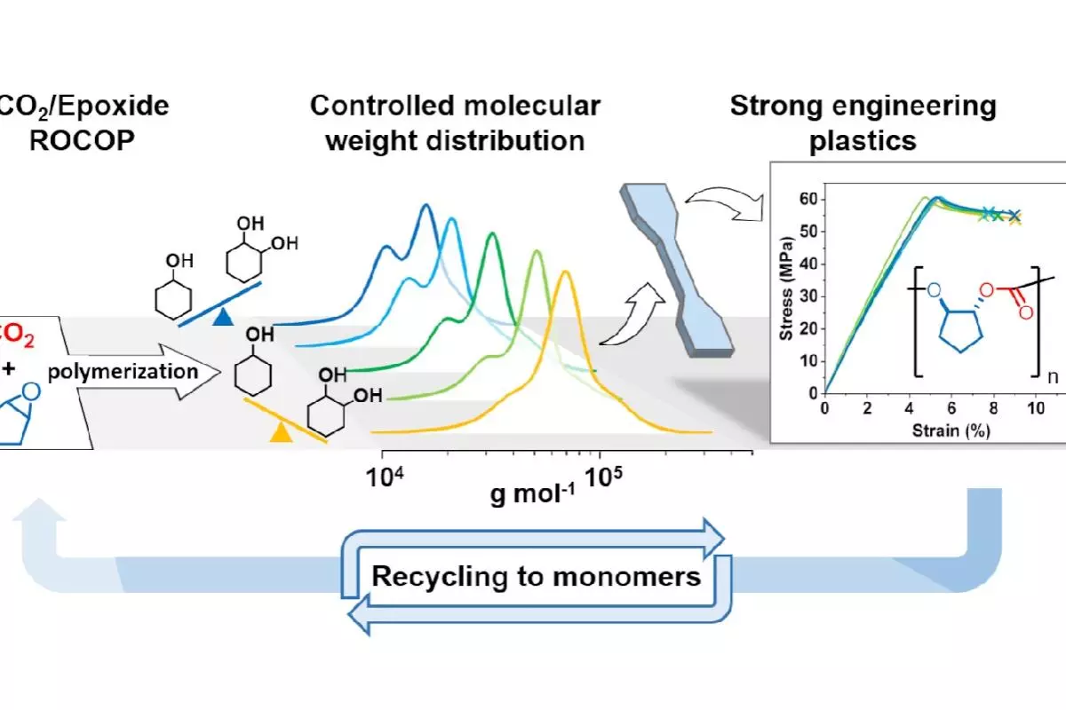Molecular Weight Distribution