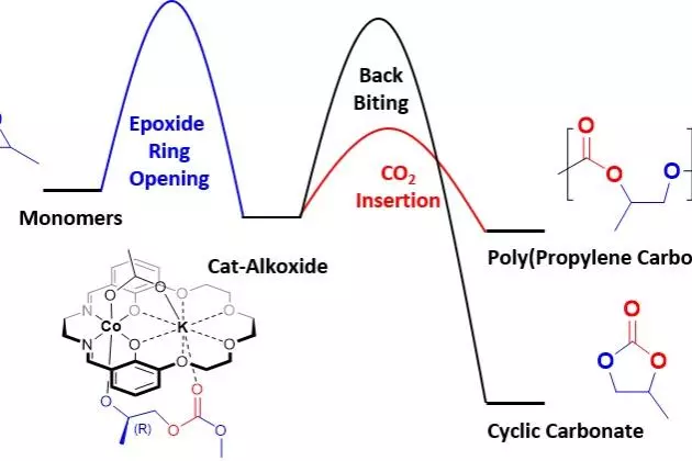 Graphical Abstract