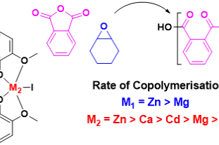 Graphical Abstract