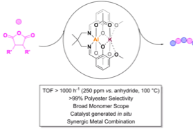 Graphical Abstract
