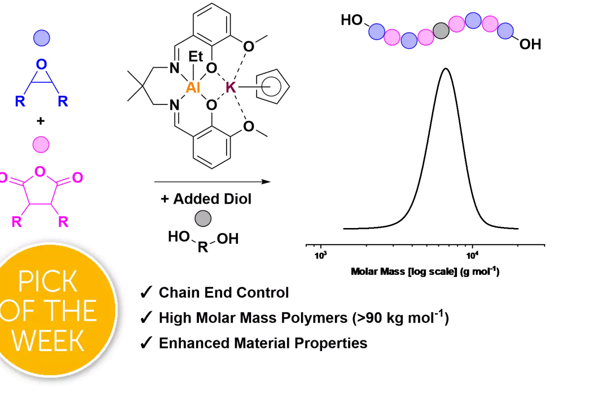 Graphical Abstract